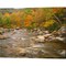 River flowing trough Forest in Autumn, White Mountains National Forest, New Hampshire by Adam Jones / Danita Delimont 20" x 16" Canvas Wall Art